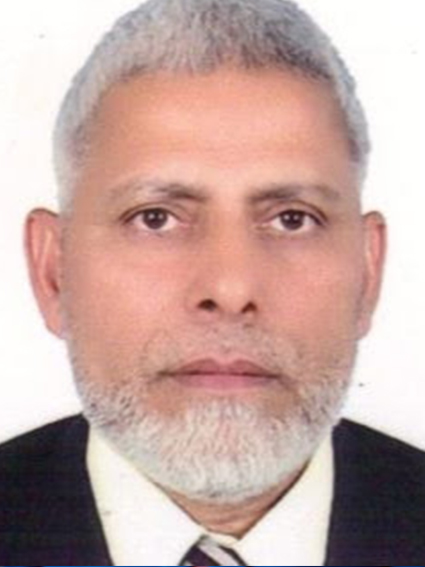 Professor Mohammad Yamin